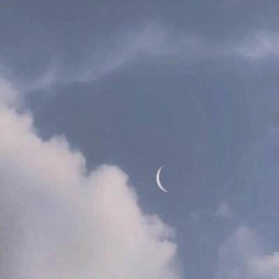 清清又肉又扭